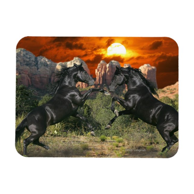 Imán Caballos de fantasía: magia negra (Horizontal)