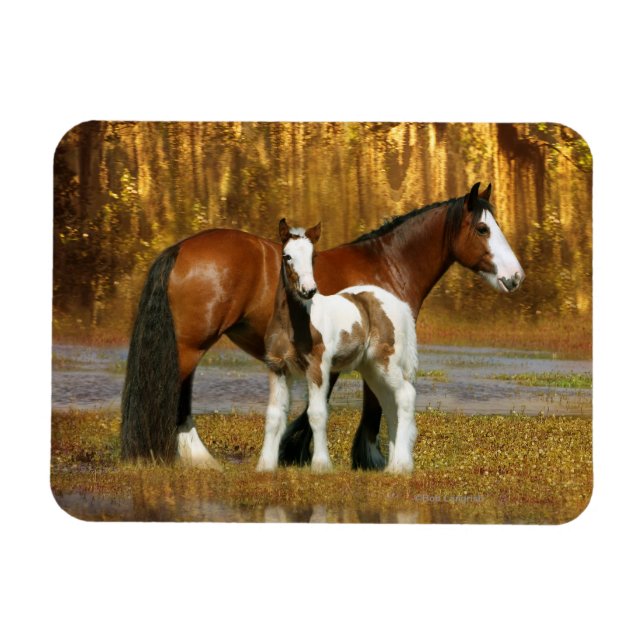 Imán Caballos de fantasía: Mare y Foal (Horizontal)