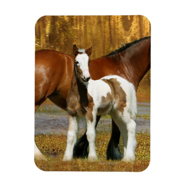 Imán Caballos de fantasía: Mare y Foal (Vertical)