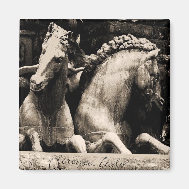 Imán Caballos de Florencia, Italia (Frente)