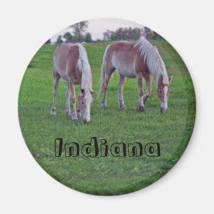 Imán Caballos de Indiana