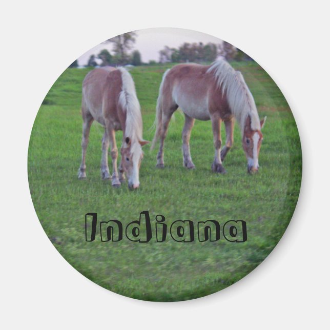 Imán Caballos de Indiana (Frente)