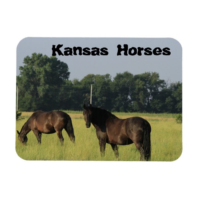 Imán Caballos de Kansas en un pasto (Horizontal)