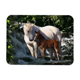 Imán Caballos de la fantasía: Cascada