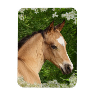 Imán Caballos de la fantasía: Flores