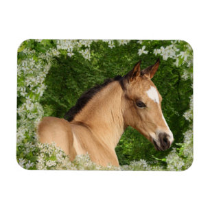 Imán Caballos de la fantasía: Flores