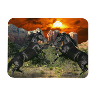 Imán Caballos de la fantasía: Magia negra