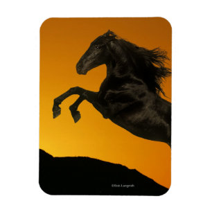 Imán Caballos de la fantasía: Puesta del sol de la