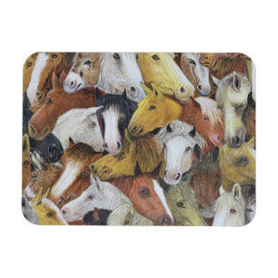 Imán Caballos de los caballos
