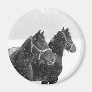 Imán Caballos de nieve