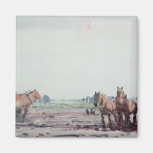 Imán Caballos del arado