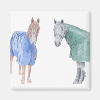 Imán Caballos en alfombras