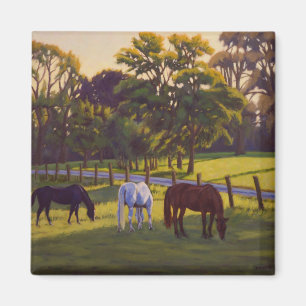 Imán Caballos en el Pasto Matutino–Florissant Missouri