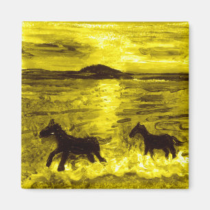 Imán Caballos en la costa dorada