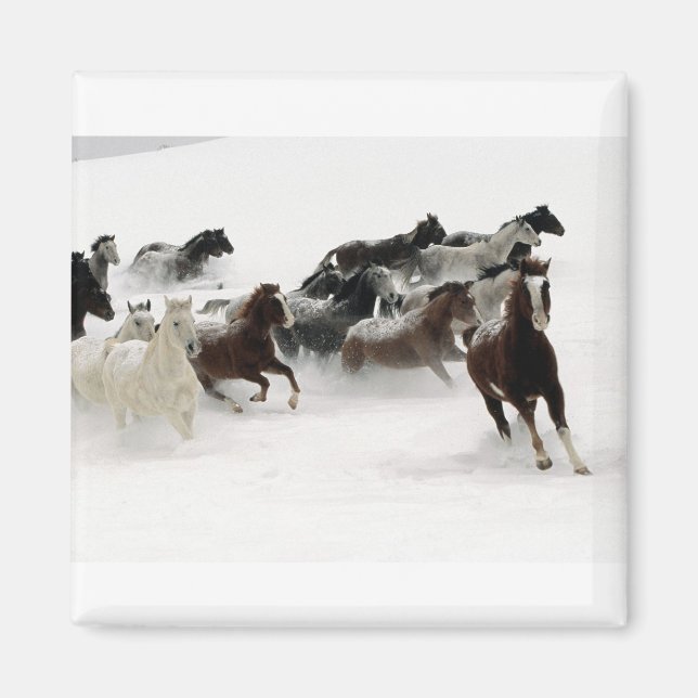 Imán Caballos en la nieve (Frente)