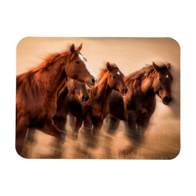 Imán Caballos en marcha, mangos borrosos y voladores (Horizontal)