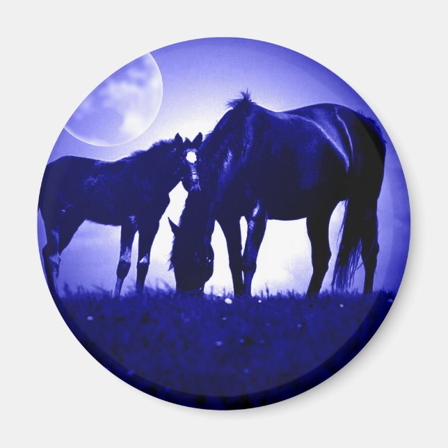 Imán Caballos en Noche Azul (Frente)