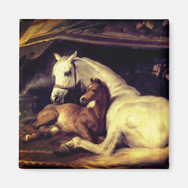 Imán Caballos Landseer (Frente)