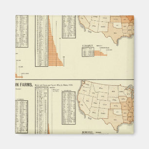 Imán Caballos, mulas, asnos, ovejas