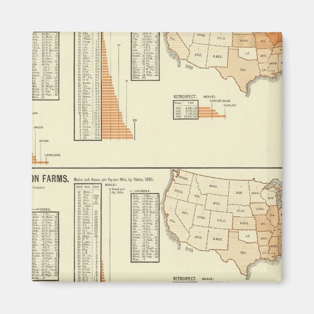 Imán Caballos, mulas, asnos, ovejas (Frente)