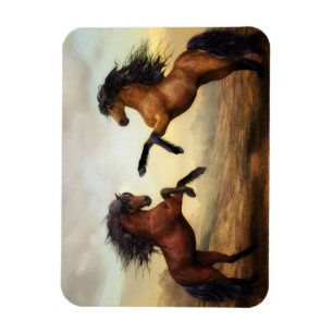 Imán Caballos salvajes