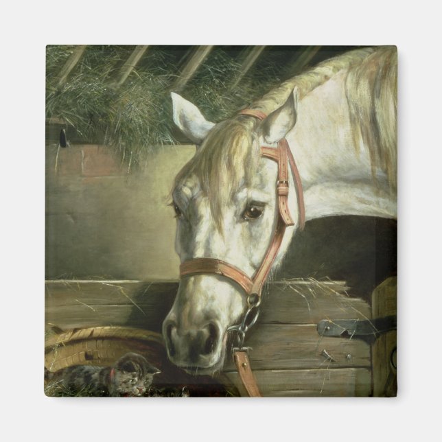 Imán Caballos y gatitos, 1890 (Frente)