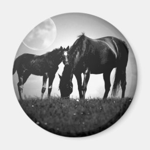 Imán Caballos y luna
