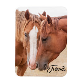 Imán Caballos zumbando en un pasto