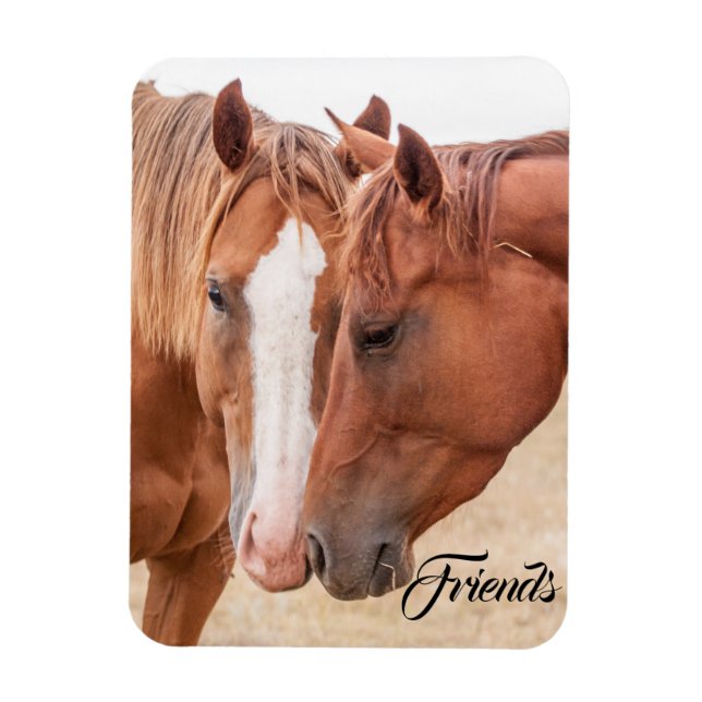 Imán Caballos zumbando en un pasto (Vertical)