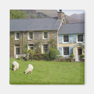 Imán Cabañas, Beddgelert, Gwynedd, Gales