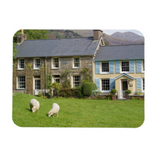 Imán Cabañas, Beddgelert, Gwynedd, Gales