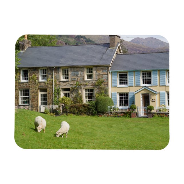 Imán Cabañas, Beddgelert, Gwynedd, Gales (Horizontal)