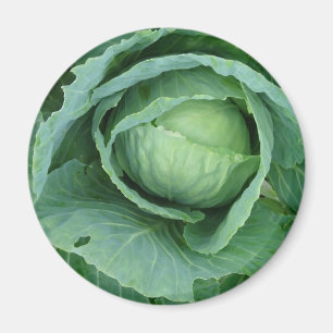 Imán Cabbage