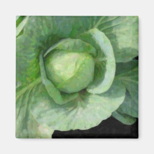 Imán Cabbage