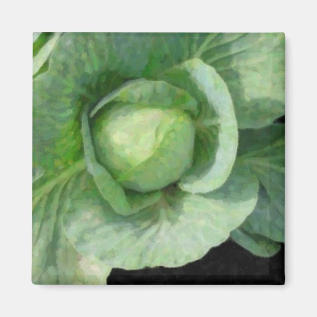 Imán Cabbage (Frente)