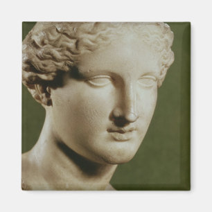 Imán Cabeza de Artemis