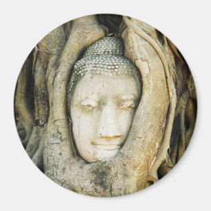 Imán Cabeza de Buda en el Árbol de Fig .. Ayutthaya, Ta