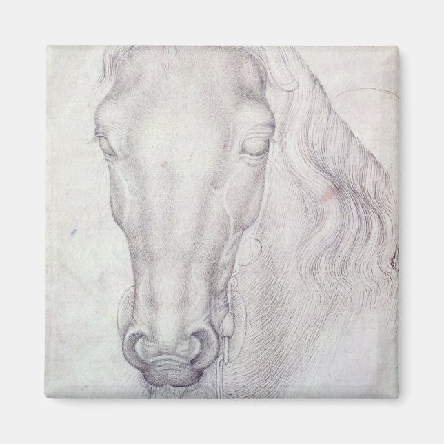 Imán Cabeza de caballo (Frente)