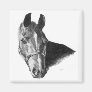 Imán Cabeza de caballo gráfica