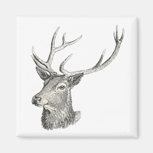 Imán Cabeza de cerdo con anillos de arte blanco y negro (Frente)