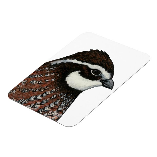 Imán Cabeza de codorniz Bobwhite (Lado Izquierdo)