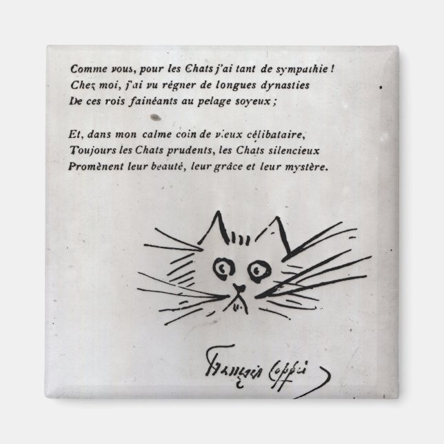 Imán Cabeza de gato (Frente)