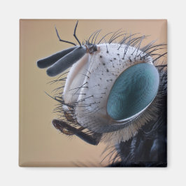 Imán Cabeza de insecto de cierre