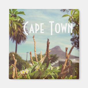 Imán Cabeza de León de la Montaña de la Mesa de Ciudad 