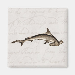 Imán Cabeza de martillo del tiburón de Hammerhead de