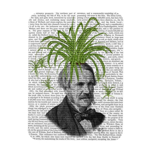 Imán Cabeza de planta araña (Vertical)