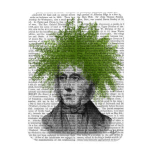 Imán Cabeza de planta Asparagus Fern