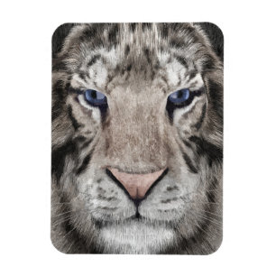 Imán Cabeza de Tigre Blanco Estética de Vida Silvestre