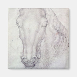 Imán Cabeza de un caballo