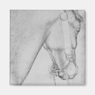 Imán Cabeza de un caballo, el álbum de Vallardi